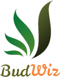 BudWiz