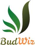 BudWiz