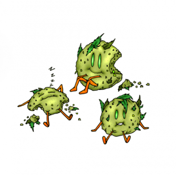 GMO - Garlic Cookies