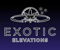 Banana Gushers Live Liquid Diamonds Cartridge (0.5g)