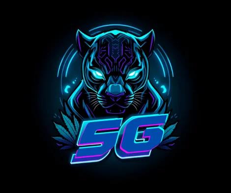 5G