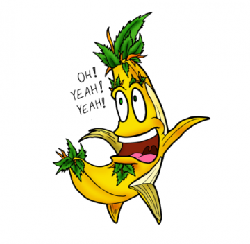 Banana Kush
