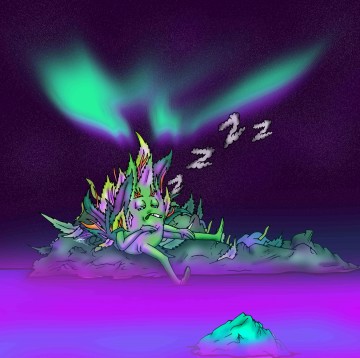 Aurora Borealis
