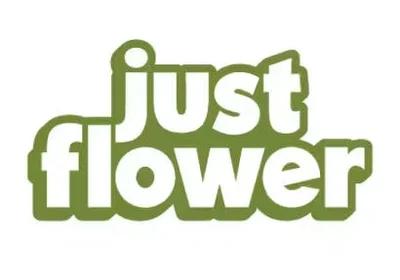 Astrozane Pre-Roll 2-Pack (1g)