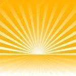 Acapulco Gold Blunt (1g)