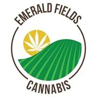 Citrus Plus x Black Magic Diamond Infused Pre-Roll (1.5g)