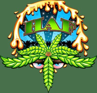 Baja Splash Live Rosin (1g)