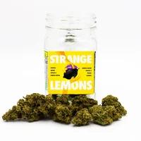 Platinum Flower